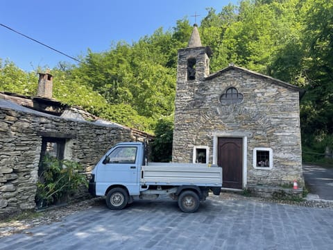 Wheel, Plant, Sky, Building, Window, Vehicle, Car, Tree