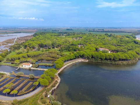 Wood, Lighting, Interior Design, Flooring, Floor, Living Room, Real Estate, Hardwood, Table, Beam