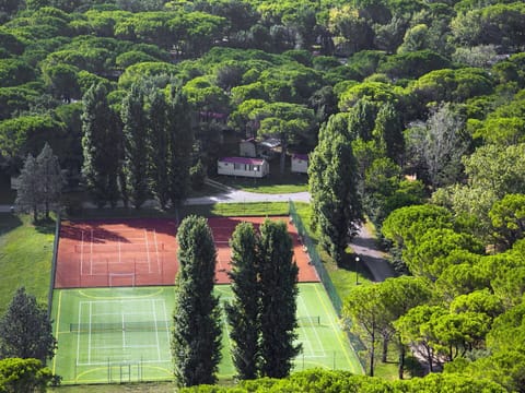 Property, Plant, Natural Landscape, Botany, Building, House, Land Lot, Hedge, Vegetation, Grass