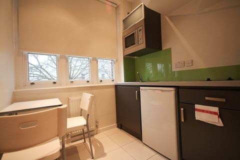 Deluxe Studio Apartment | Private kitchen | Full-size fridge, microwave, stovetop, coffee/tea maker