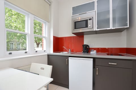 Deluxe Studio Apartment | Private kitchen | Full-size fridge, microwave, stovetop, coffee/tea maker