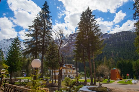 Mountain view