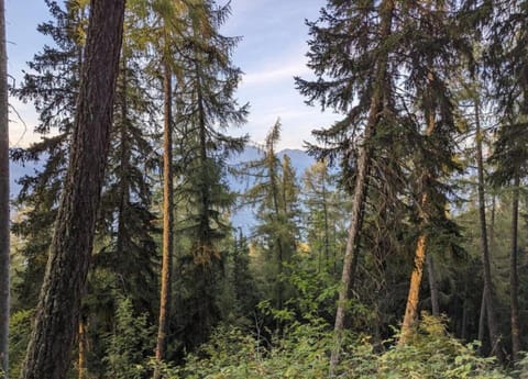 Chalet | View from property