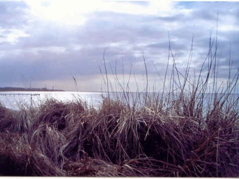 House | View from property