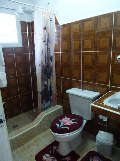 Standard Room, 2 Double Beds | Bathroom | Shower, towels