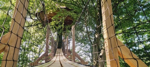 Panoramic Cabin, Ensuite (Cabane Haut Perchee) | 1 bedroom