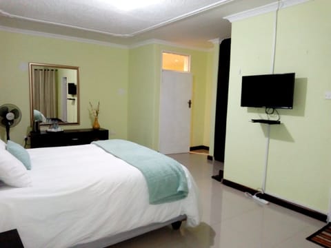 Executive Double Room | Minibar, iron/ironing board, rollaway beds, free WiFi