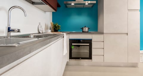 Apartment, 1 Bedroom | Private kitchen | Fridge, oven, stovetop, dishwasher