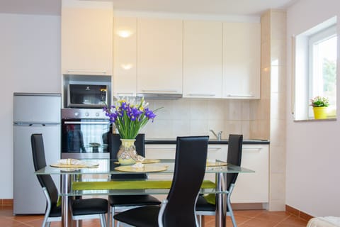 Deluxe Apartment | Private kitchen | Full-size fridge, microwave, stovetop, coffee/tea maker