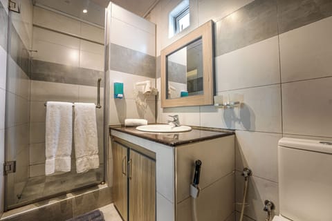 Deluxe Room | Bathroom | Shower, hydromassage showerhead, free toiletries, hair dryer