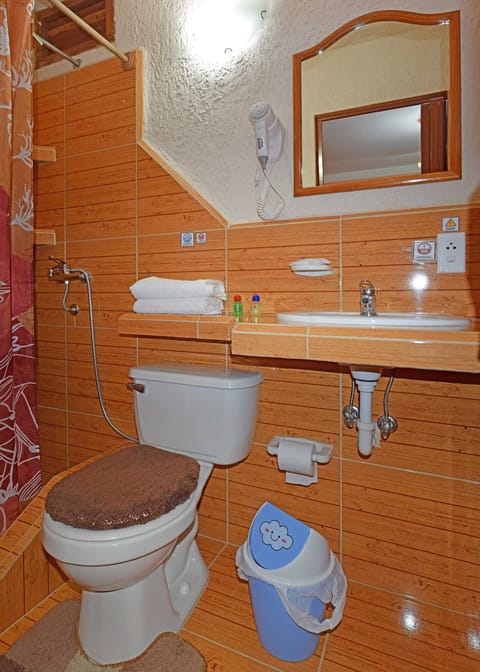 Basic Double Room | Bathroom | Rainfall showerhead, free toiletries, hair dryer, bidet