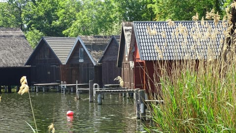 Town/city in general