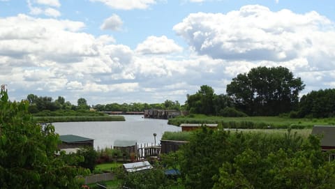 Area that directly surrounds the property