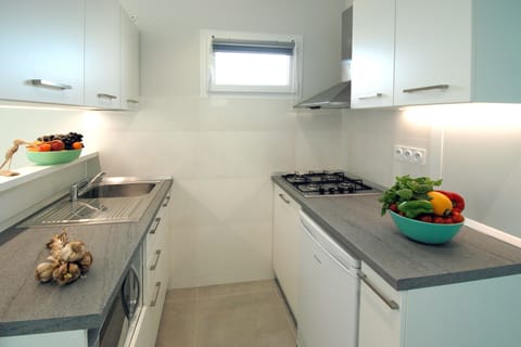 Deluxe Apartment | Private kitchen | Full-size fridge, microwave, stovetop, coffee/tea maker