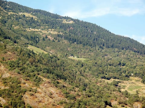 Mountainous Landforms, Vegetation, Mountain, Hill Station, Wilderness, Hill, Natural Environment, Plant Community, Biome, Forest