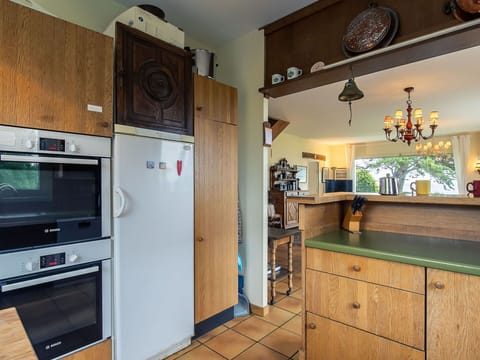 Property, Cabinetry, Countertop, Kitchen Appliance, Wood, Kitchen, Interior Design, Home Appliance, Kitchen Stove, Wood Stain