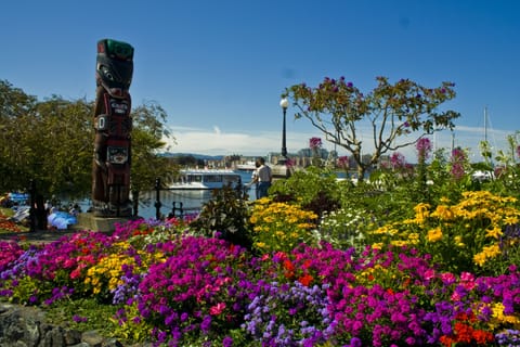A view of Victoria Inner harbour