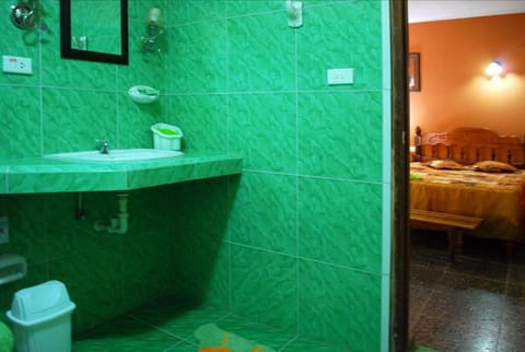 Basic Double Room 2 | Bathroom | Shower, free toiletries, hair dryer, towels