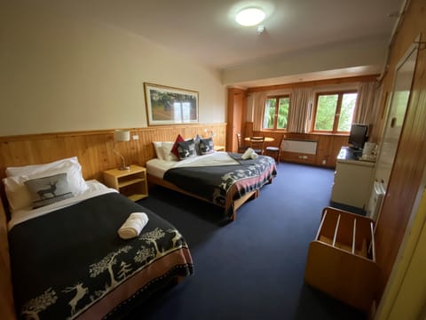 Triple Room | Individually decorated, individually furnished, free WiFi, bed sheets