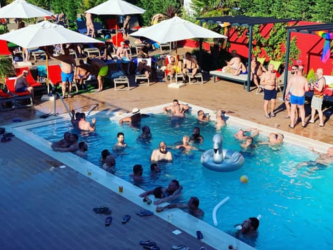 Outdoor pool, pool umbrellas, sun loungers