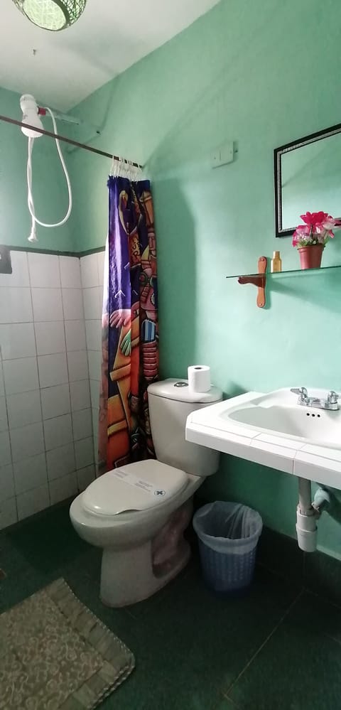 Classic Quadruple Room, 2 Queen Beds, Mountain View | Bathroom | Shower, hair dryer, towels, soap