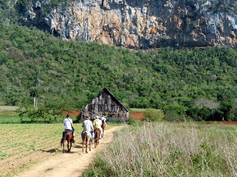 Horseback riding