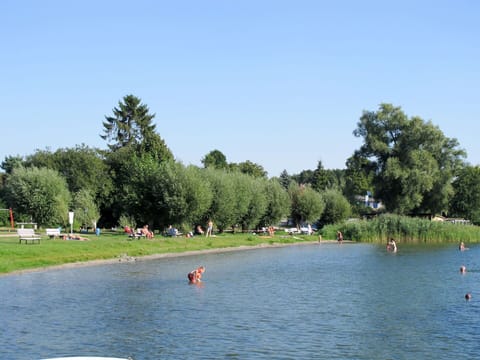 Water, Sky, Boats And Boating--Equipment And Supplies, Tree, Plant, Lake, Natural Landscape, Leisure, Watercraft