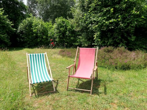 Plant, Furniture, Natural Landscape, Grass, Tree, Outdoor Furniture, Leisure, Wood, Groundcover, Shade