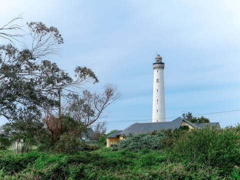 Sky, Cloud, Plant, Tower, Building, Tree, Beacon, Coastal And Oceanic Landforms, Biome