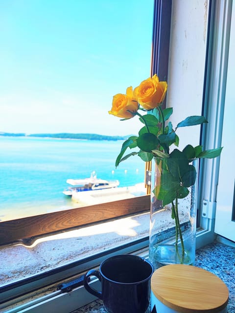 Panoramic Sea View apartment Sea Ya in Rovinj 