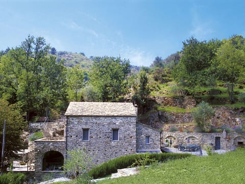 Plant, Cloud, Sky, Building, Natural Landscape, Tree, Land Lot, Cottage, Window, House