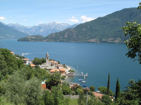 Plant, Sky, Plant Community, Natural Landscape, Branch, Tree, Grass, Shrub, Deciduous, Landscape