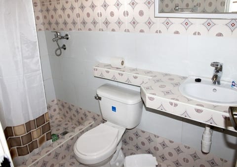 Deluxe Quadruple Room | Bathroom | Shower, rainfall showerhead, free toiletries, hair dryer