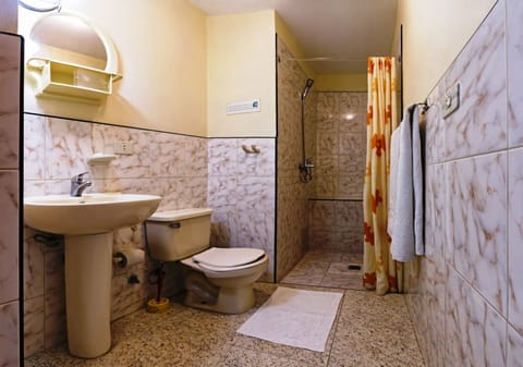 Comfort Triple Room | Bathroom | Shower, free toiletries, hair dryer, towels