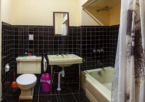 Deluxe Triple Room | Bathroom | Shower, rainfall showerhead, free toiletries, hair dryer