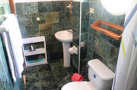 Business Double Room | Bathroom | Shower, rainfall showerhead, free toiletries, hair dryer