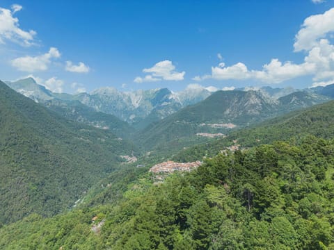 Cloud, Sky, Mountain, Plant, Natural Landscape, Cumulus, Tree, Landscape, Valley, Grassland