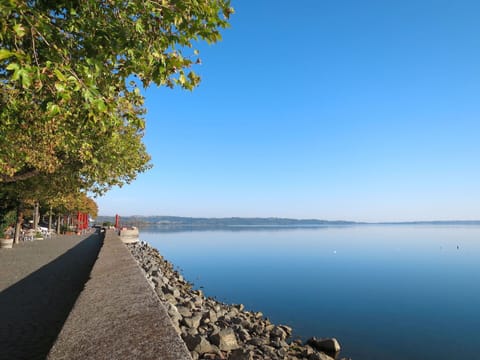 Sky, Cloud, Plant, Tree, Road Surface, Asphalt, Land Lot, House, Composite Material, Fence