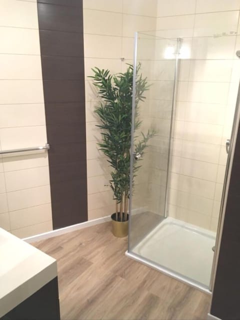Luxury Apartment, 2 Bedrooms, Terrace | Bathroom | Shower, towels, soap, shampoo