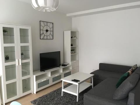 Luxury Apartment, 2 Bedrooms, Kitchen | Living area | Flat-screen TV, Netflix, streaming services