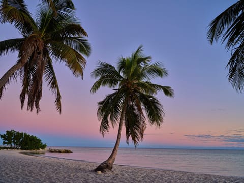 Beach nearby, white sand