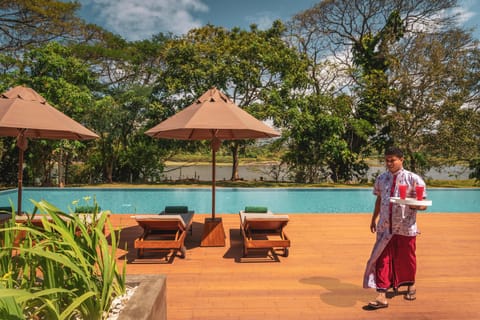 Outdoor pool, sun loungers