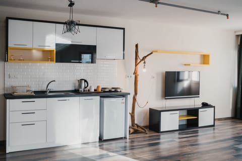 Mini-fridge, stovetop, highchair, griddle