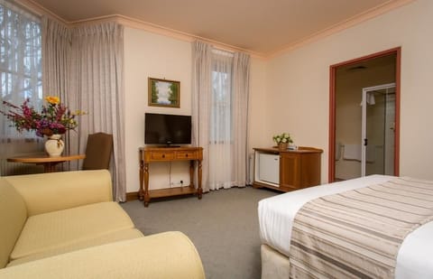 Deluxe King Room | Minibar, individually decorated, individually furnished, desk