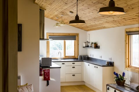 Villa (2 Bedrooms) | Private kitchen | Fridge, microwave, stovetop, electric kettle