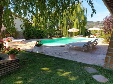 Swimming Pool, Farmhouse, Estate, Villa, Resort, Eco Hotel, Hacienda, Backyard