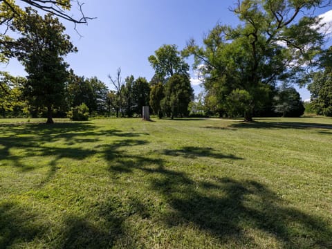 Tableware, Sky, Table, Property, Plant, Furniture, Building, Cloud, Dishware, Cup