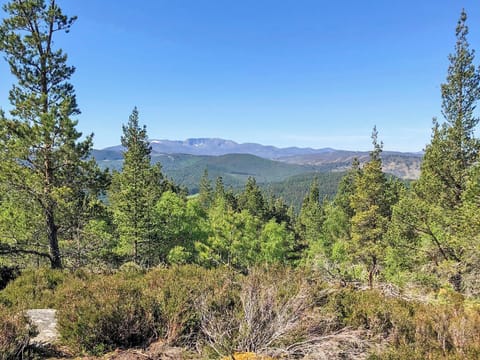 View from the top of Craigendarroch Hill | Craigclunie, Ballater