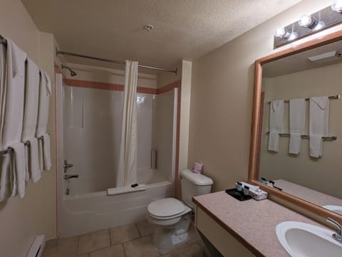 Junior Suite, Multiple Beds (2 Room) | Bathroom | Free toiletries, hair dryer, towels, soap