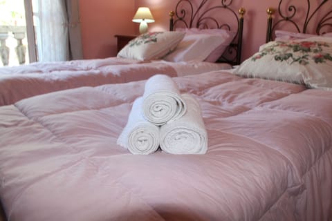 Double or Twin Room, Private Bathroom | Down comforters, memory foam beds, minibar, desk